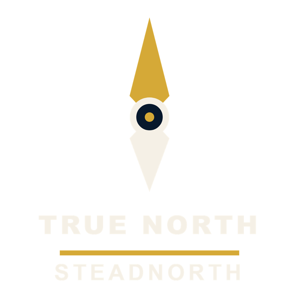 True North SteadNorth hat embroidery artwork